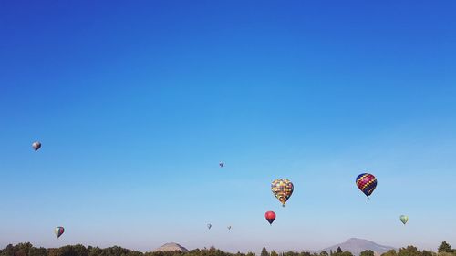 Low angle view of hot air balloons against blue sky