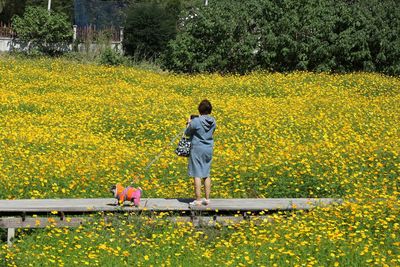 Rear view of woman walking on yellow flowering plants