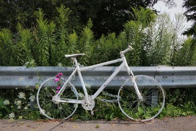 Abandoned bicycle by trees on field