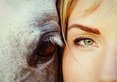 Close-up of the eyes of a girl and a horse