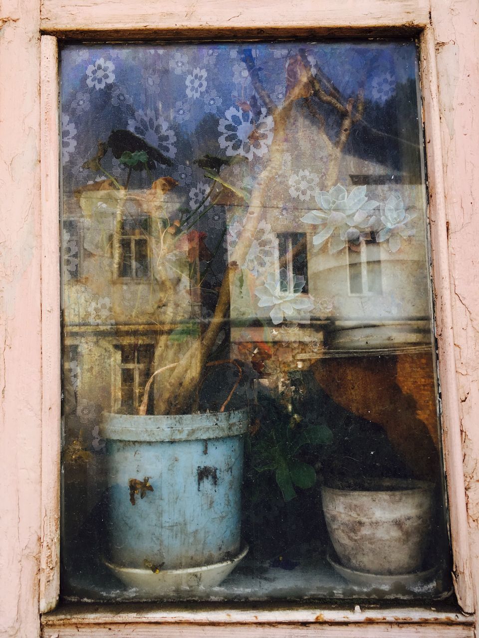 window, damaged, abandoned, close-up, building exterior, built structure, day, obsolete, bad condition, no people, outdoors, architecture