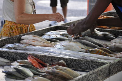 Fish for sale at market