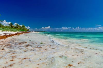 Scenic view of beach against blue sky