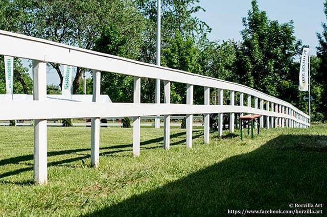 grass, tree, green color, railing, built structure, architecture, park - man made space, empty, lawn, day, absence, sunlight, green, outdoors, fence, playground, no people, grassy, field, growth