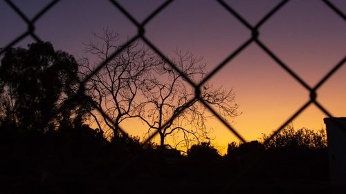 Silhouette trees against sky during sunset seen through chainlink fence