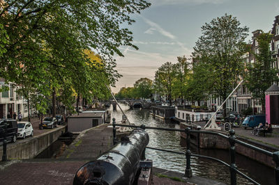 View of canal along trees