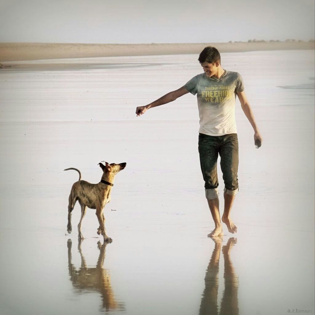 full length, animal themes, water, lifestyles, casual clothing, walking, standing, childhood, leisure activity, running, domestic animals, one animal, beach, dog, mammal, boys, person, elementary age