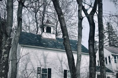 Low angle view of bare trees by building