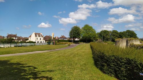 Trees and houses on field against sky