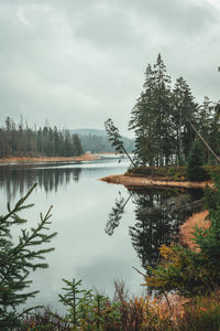 Scenic view of lake in forest against sky