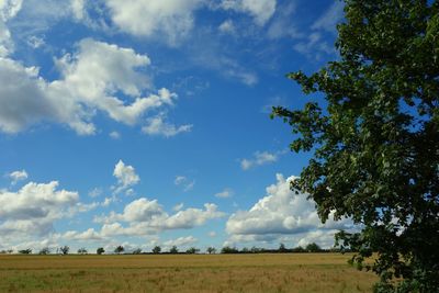 Scenic view of field against cloudy sky