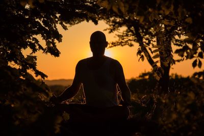Man meditating amidst trees during sunset