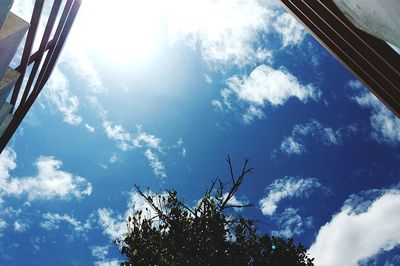 Low angle view of trees against blue sky