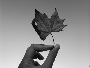 Close-up of hand holding autumn leaf against sky