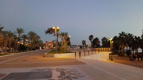Illuminated trees against sky