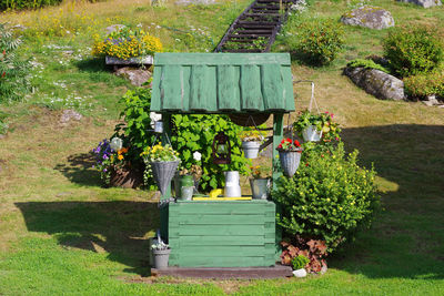 Potted plant on bench in field