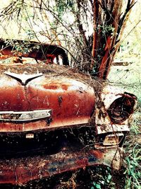 Close-up of abandoned car on bare tree