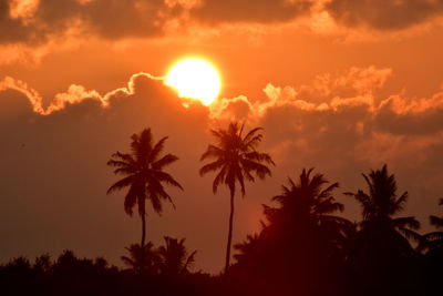 Silhouette trees against sky during sunset