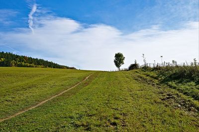 Scenic view of field against sky