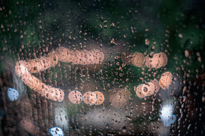 Full frame shot of raindrops on glass window