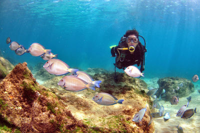 A woman doing scuba diving near a shipwreck