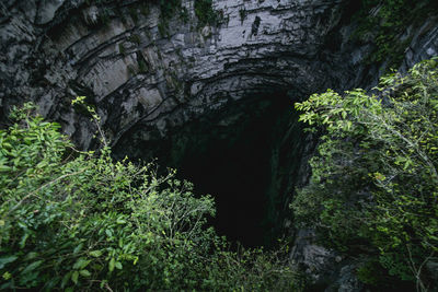 High angle view of wishing well in forest