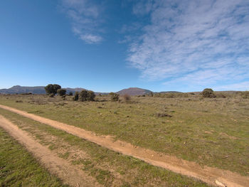 Scenic view of landscape against blue sky