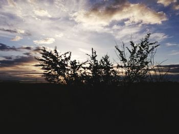 Silhouette trees on field against sky at sunset