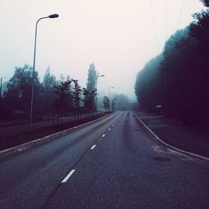 Empty road along trees