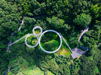 High angle view of bicycle amidst trees