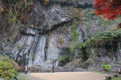 Scenic view of waterfall