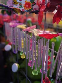 Close-up of red flowers hanging in temple