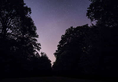 Low angle view of silhouette trees against clear sky at night