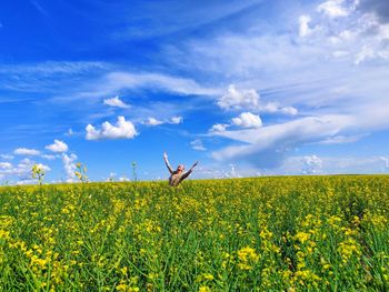 Scenic view of yellow flowers on field against sky