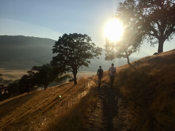 People walking on street amidst trees against sky