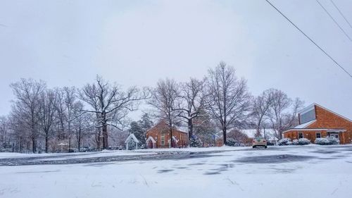 Bare trees on snow covered landscape