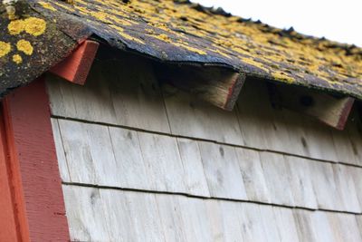 Close-up of roof