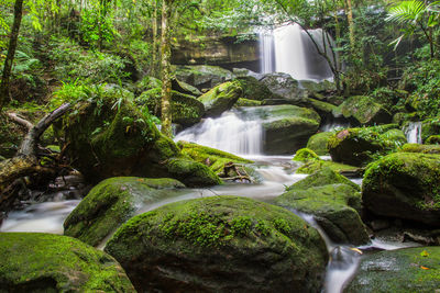 Scenic view of waterfall in forest