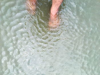 Low section of person standing in water on shore