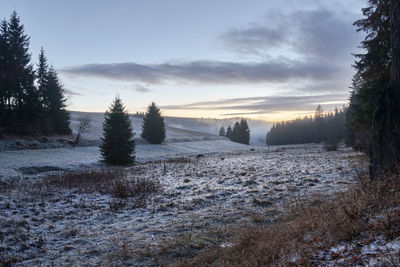 Scenic view of snowy field against sky during winter