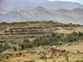 Scenic view of arid landscape and mountains