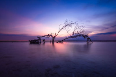 Silhouette bare tree by sea against sky at sunset