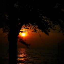 Silhouette tree by sea against sky during sunset