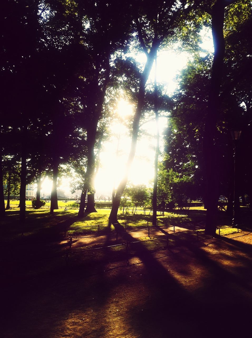 tree, shadow, sunlight, silhouette, tree trunk, tranquility, park - man made space, growth, nature, tranquil scene, branch, park, lens flare, sun, bench, beauty in nature, footpath, outdoors, sunbeam, night