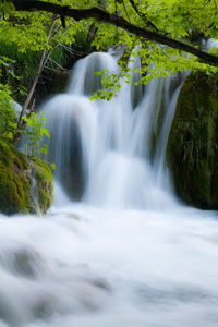 View of waterfall in forest