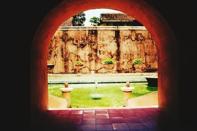 Trees seen through arch window