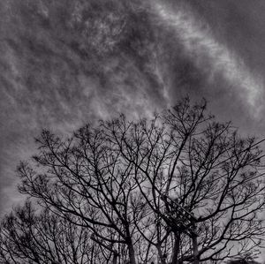 Low angle view of bare tree against cloudy sky