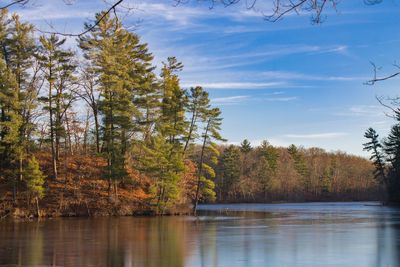 Scenic view of lake in forest against sky during autumn