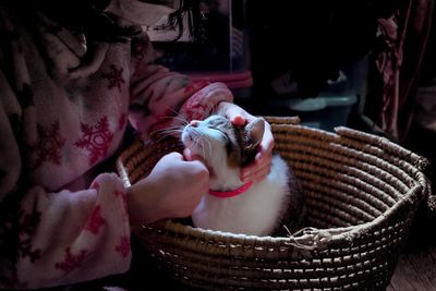 Midsection of girl with cat in basket