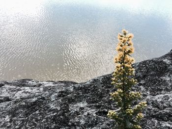 Water splashing on cliff